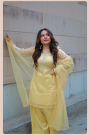 Sahiba Farsi Salwar Suit